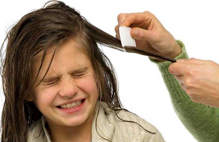 Home Remedies for Lice