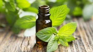 Peppermint-Oil-Uses