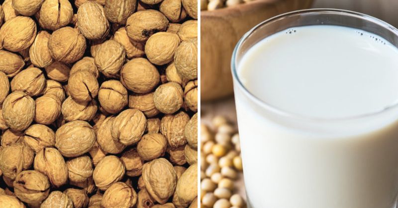 How To Make The Healthiest Spiced Walnut Milk At Home