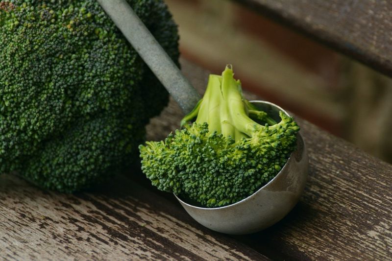 10 Vegetables High in Protein to Get Your Muscles Pumping