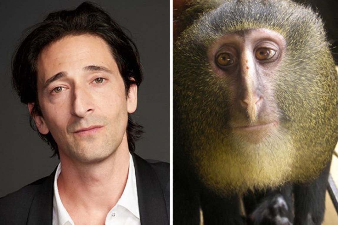 51 Celebs And Their Animal Kingdom Counterparts