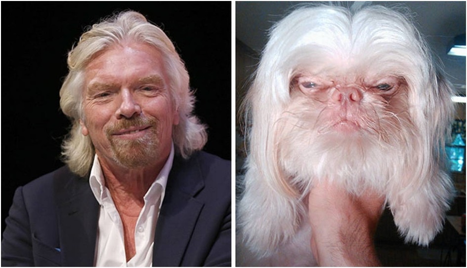 51 Celebs And Their Animal Kingdom Counterparts - Ritely