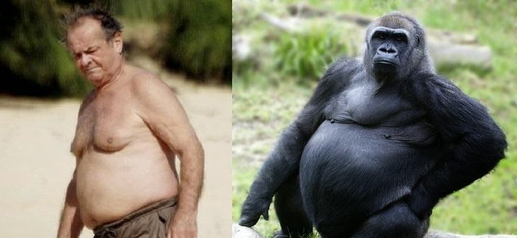 51 Celebs And Their Animal Kingdom Counterparts