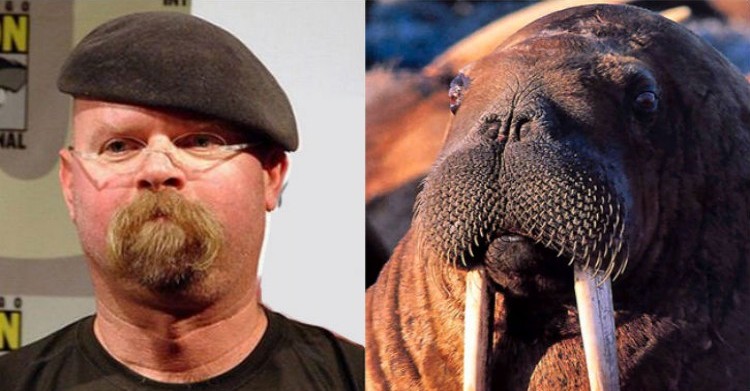 51 Celebs And Their Animal Kingdom Counterparts