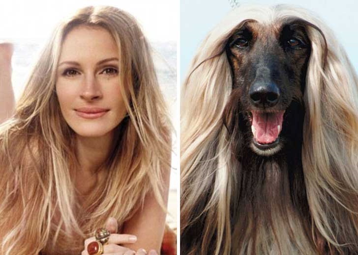 51 Celebs And Their Animal Kingdom Counterparts