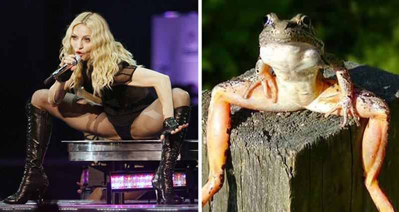 51 Celebs And Their Animal Kingdom Counterparts