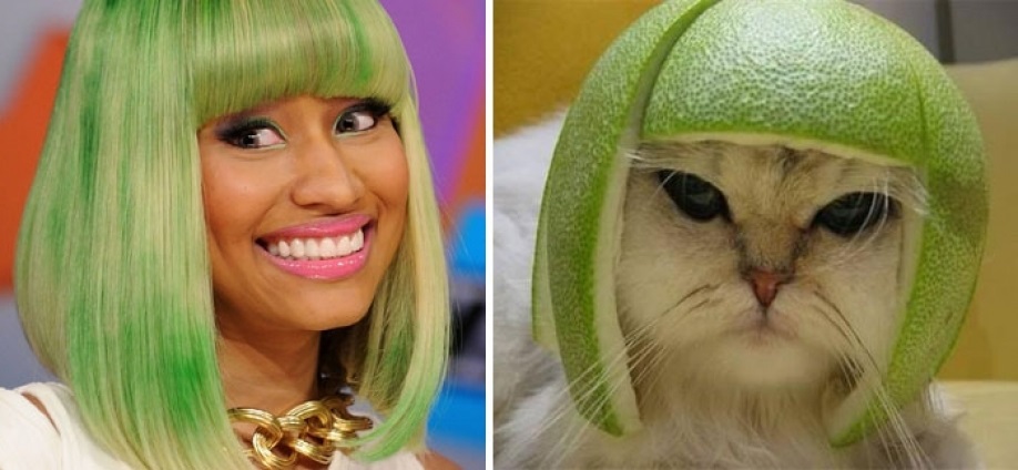 51 Celebs And Their Animal Kingdom Counterparts
