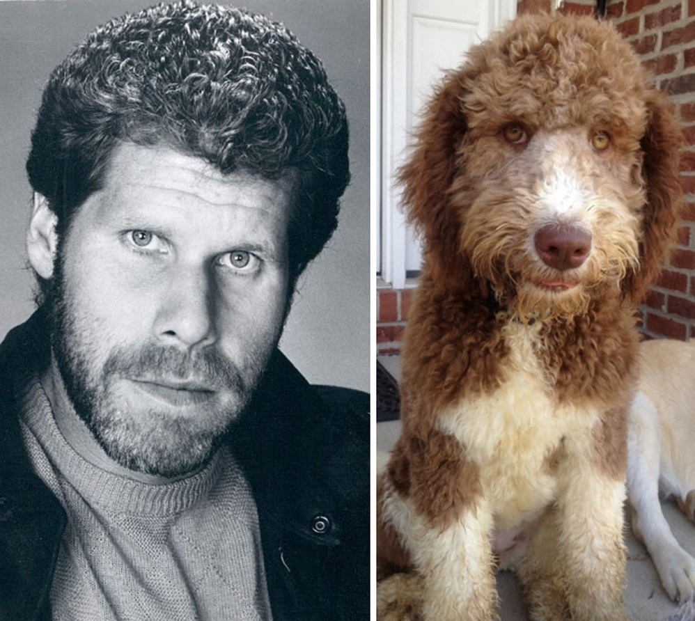 51 Celebs And Their Animal Kingdom Counterparts