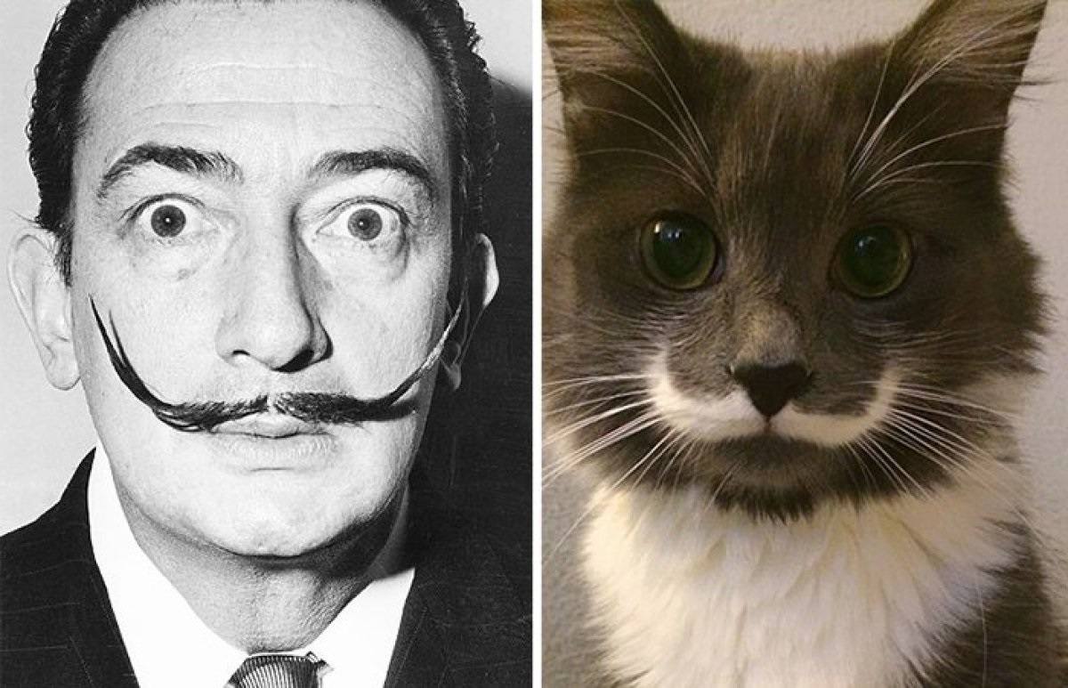 51 Celebs And Their Animal Kingdom Counterparts