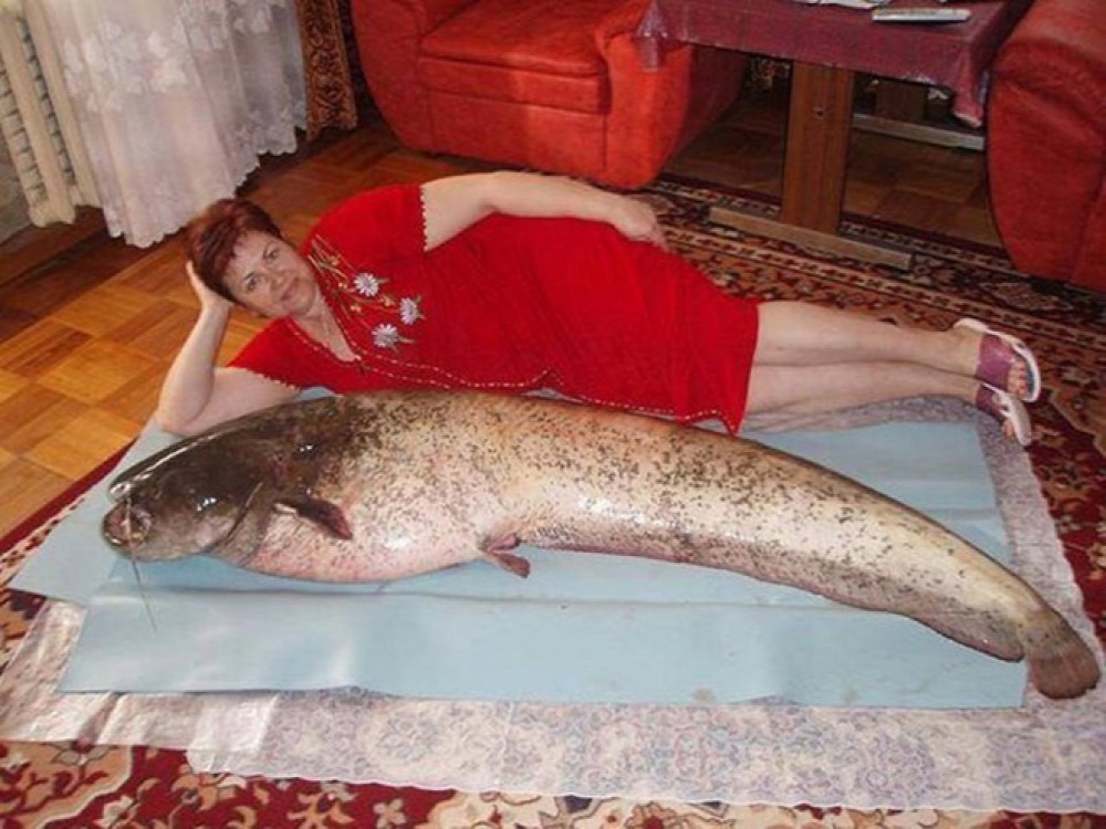 43 Hard-To-Explain Date Site Pics Found Only In Russia