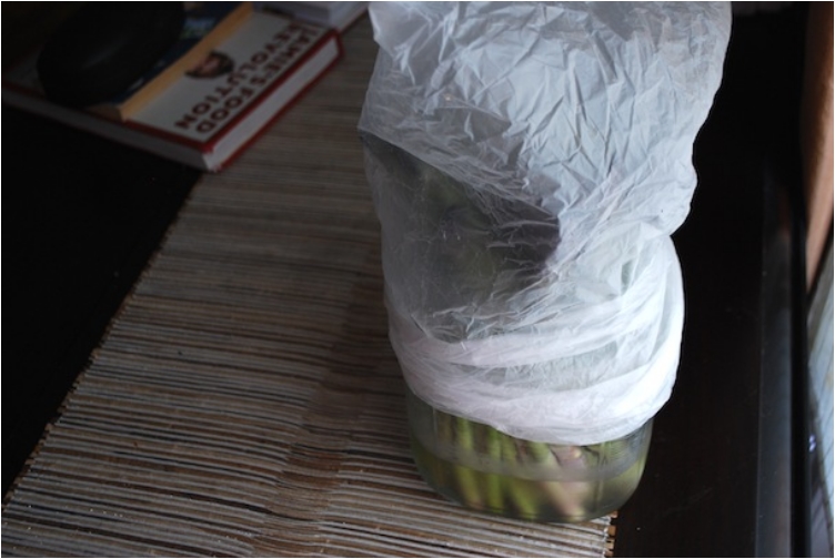 25 Tips To Store Your Groceries The Right Way