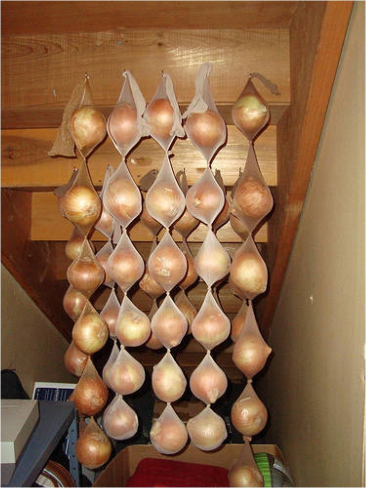 25 Tips To Store Your Groceries The Right Way