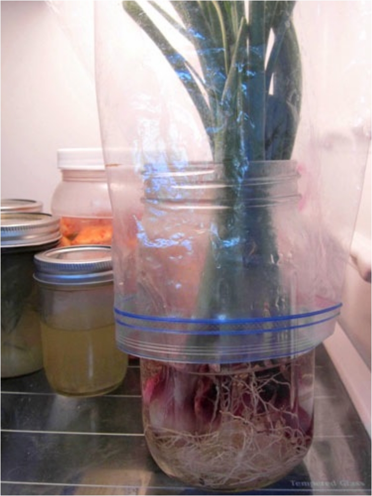 25 Tips To Store Your Groceries The Right Way