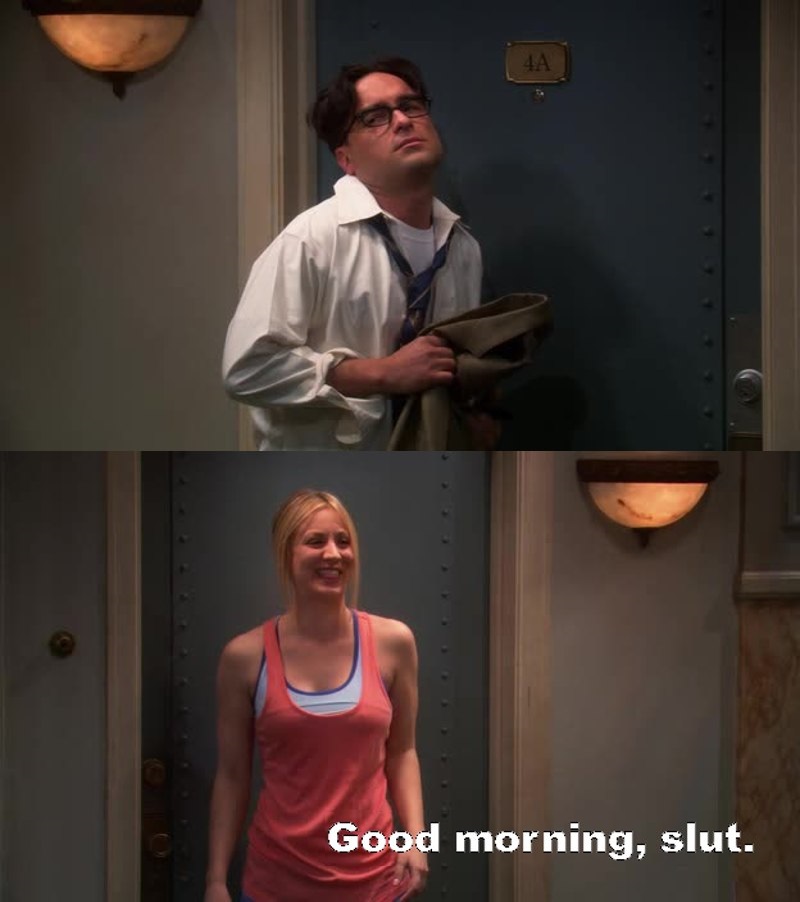 31 Awkward And Funny Sex Moments From Big Bang Theory Ritely 3223