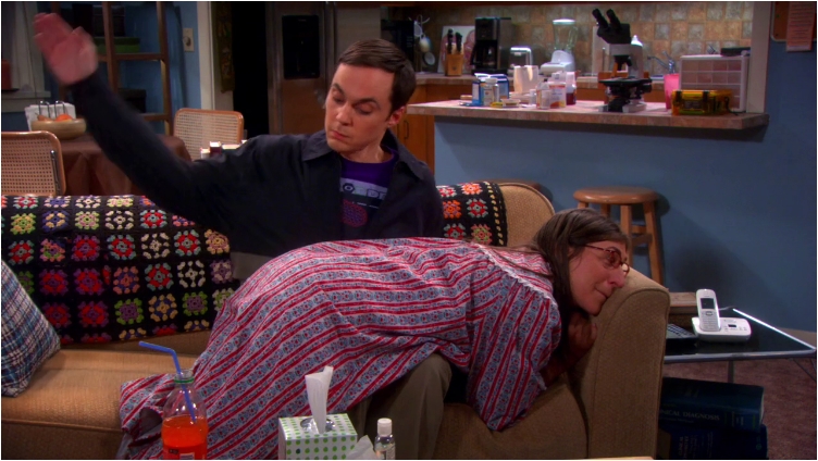 31 Awkward And Funny Sex Moments From Big Bang Theory Ritely 