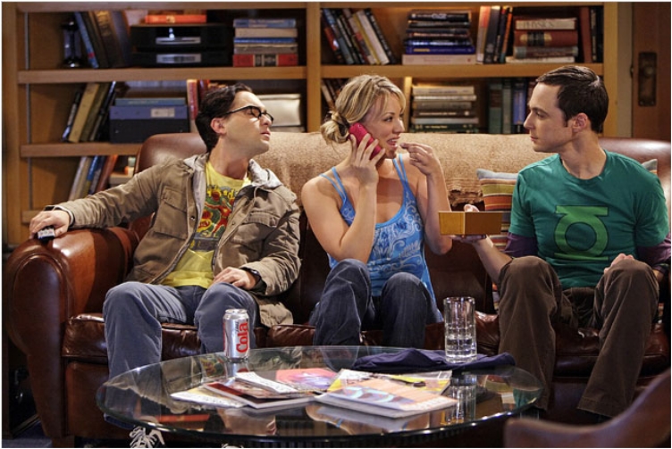 31 Awkward And Funny Sex Moments From Big Bang Theory Ritely