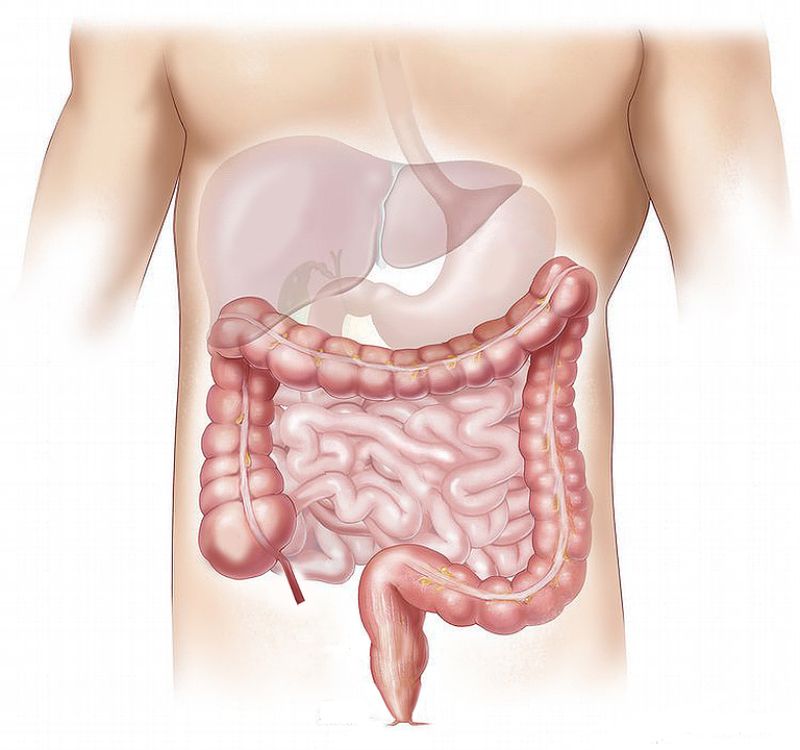 Colon Cleansing: Everything You Need to Know