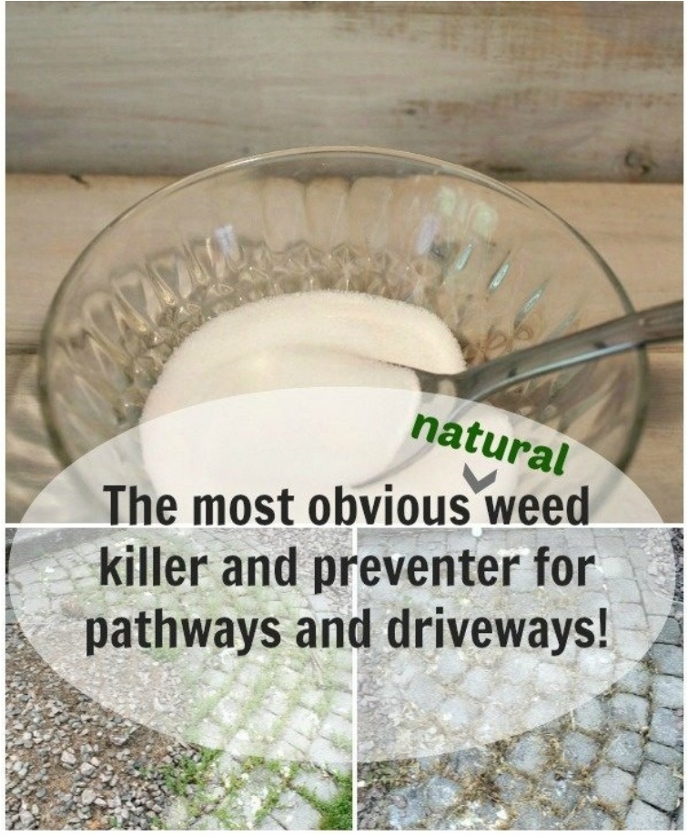 16 DIY Natural Weed Killers