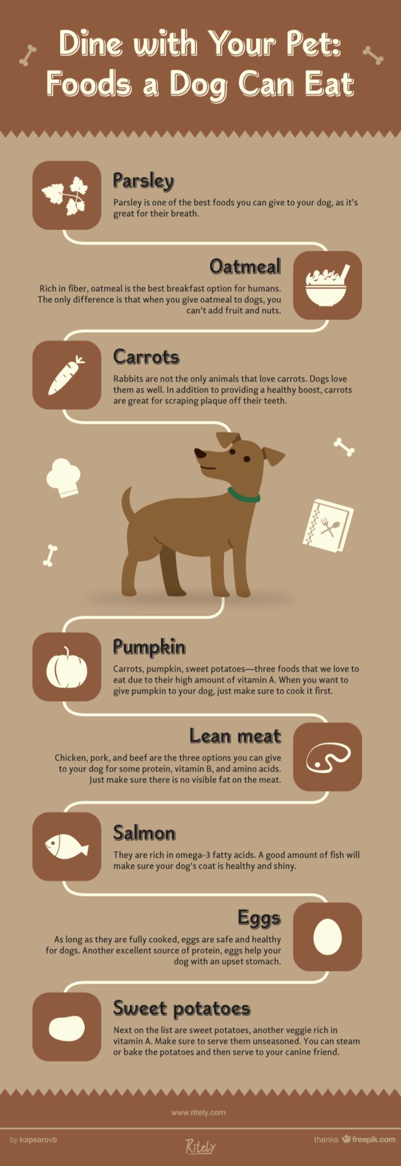 Dine with Your Pet: Foods a Dog Can Eat