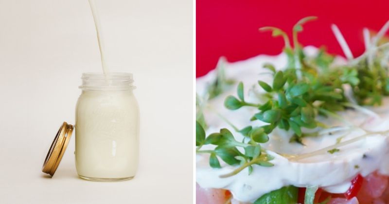 Buttermilk Substitute: How to Get Thickness Without Buttermilk