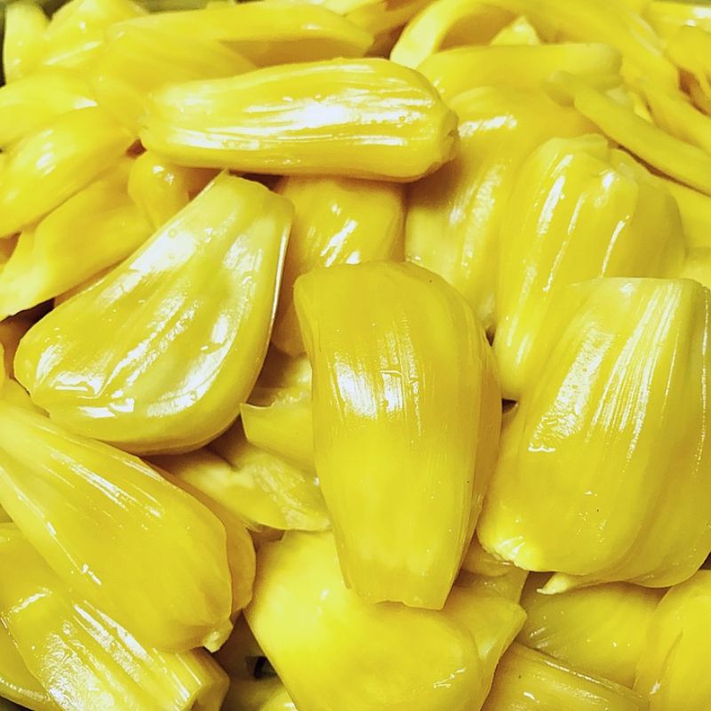 Jackfruit Seeds: Their Benefits and How to Cook Them