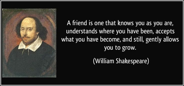32 Funny, Touching And Totally True Friendship Quotes