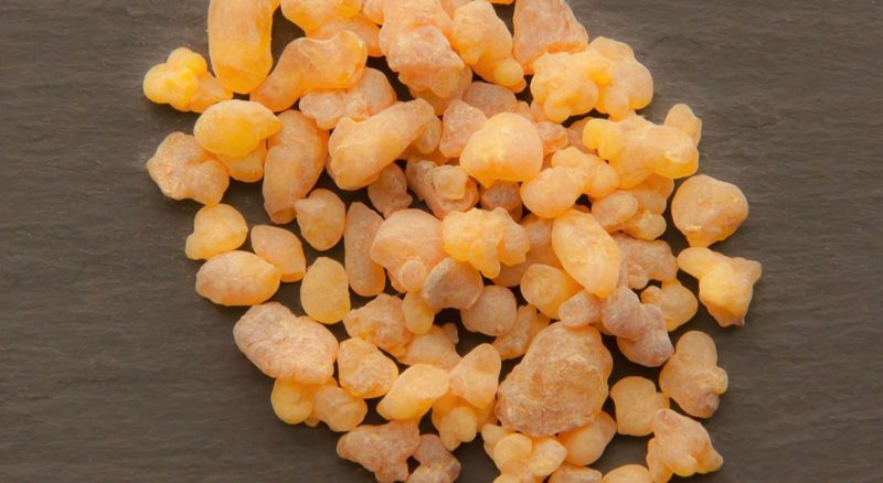 Frankincense Oil: Uses, Benefits, and How to Treat Cancer with It