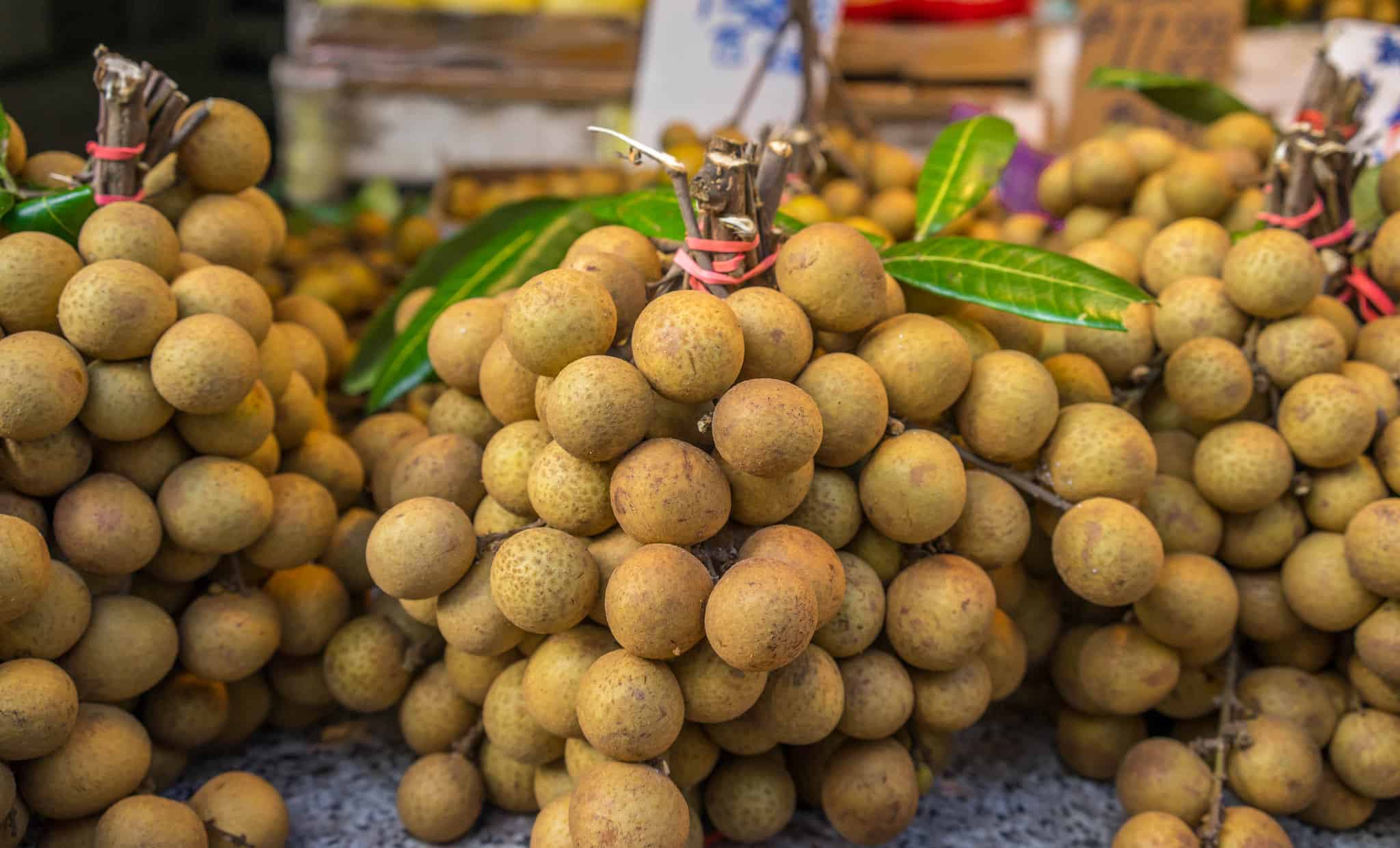 Top 15 Exotic Fruits You Can Find at Your Local Store