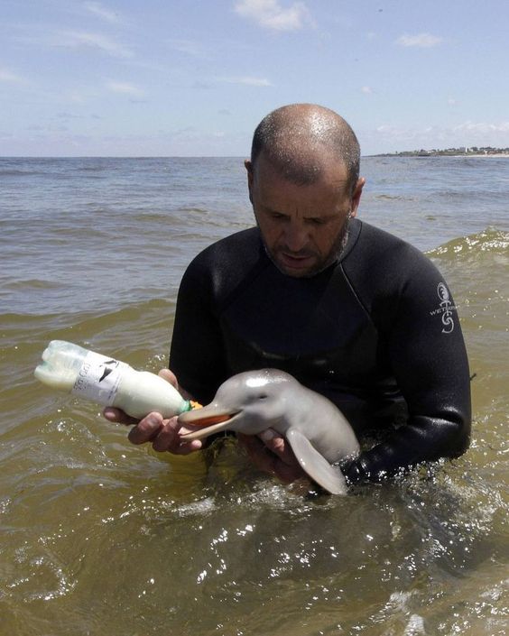 23 Of The Cutest Baby Animals In The World Ritely