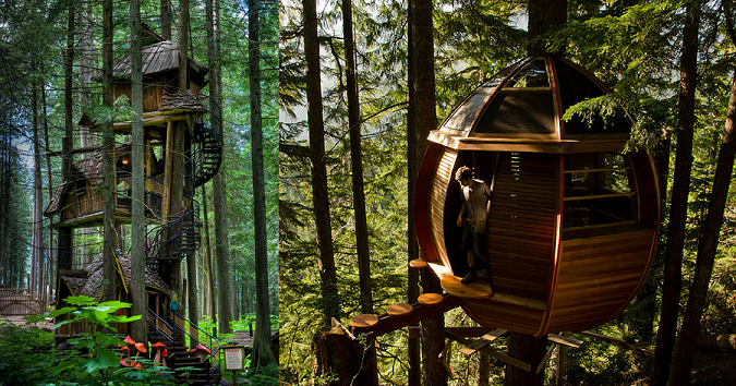 15 of the World's Most Amazing Tree Houses Better Than Any Grand Palace (1)