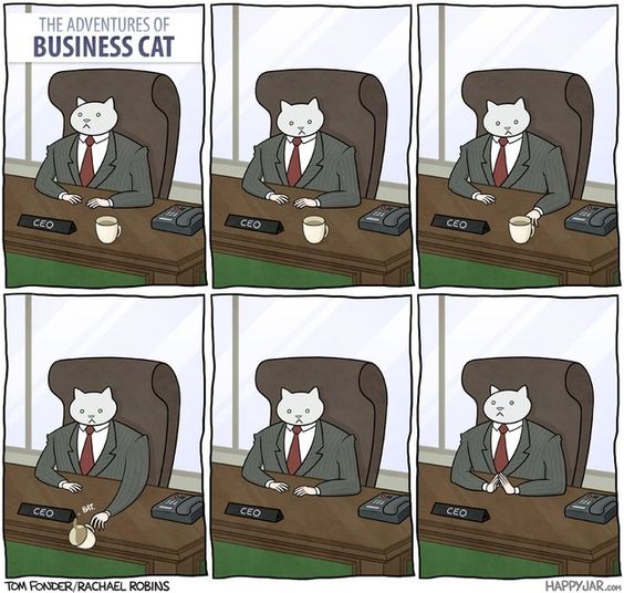 Top 22 Adventure Business Cat Memes to Brighten up Monday