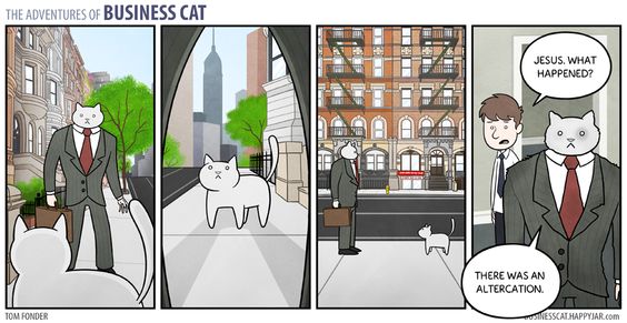 Top 22 Adventure Business Cat Memes to Brighten up Monday