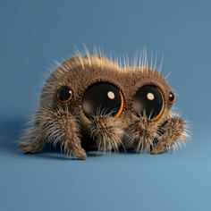The Most Adorable Spider You Have Ever Seen Will Brighten up Your Day