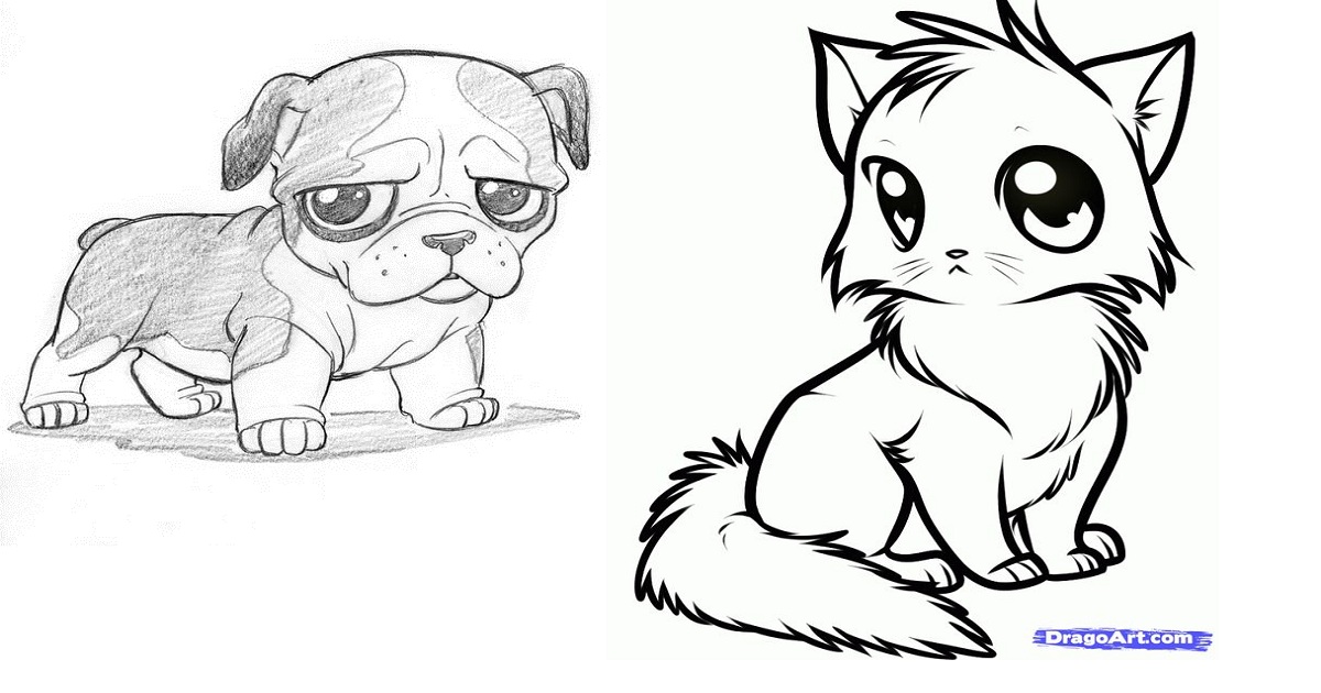 How To Draw Cute Animals Step By Step Guide Ritely