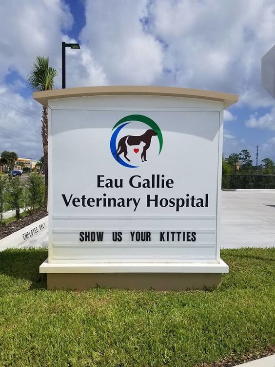15+ Genius Vet Signs for Pets Afraid of Going to the Vet