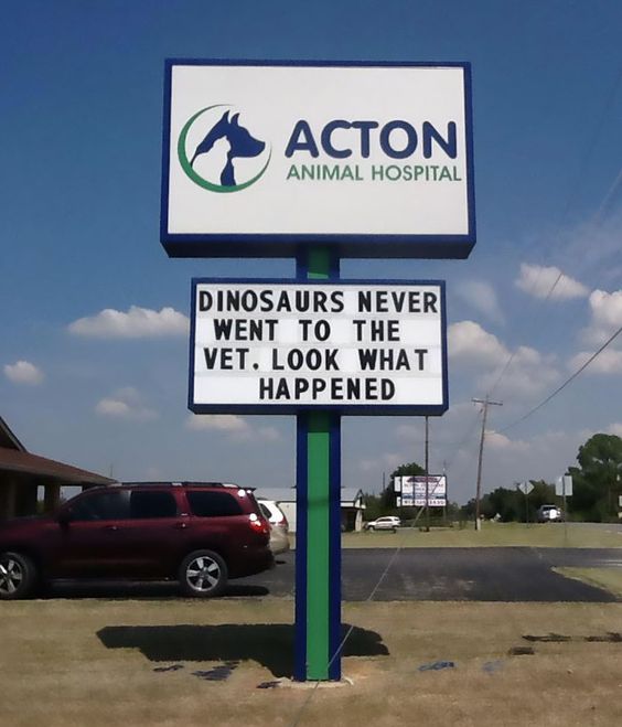 15+ Genius Vet Signs for Pets Afraid of Going to the Vet