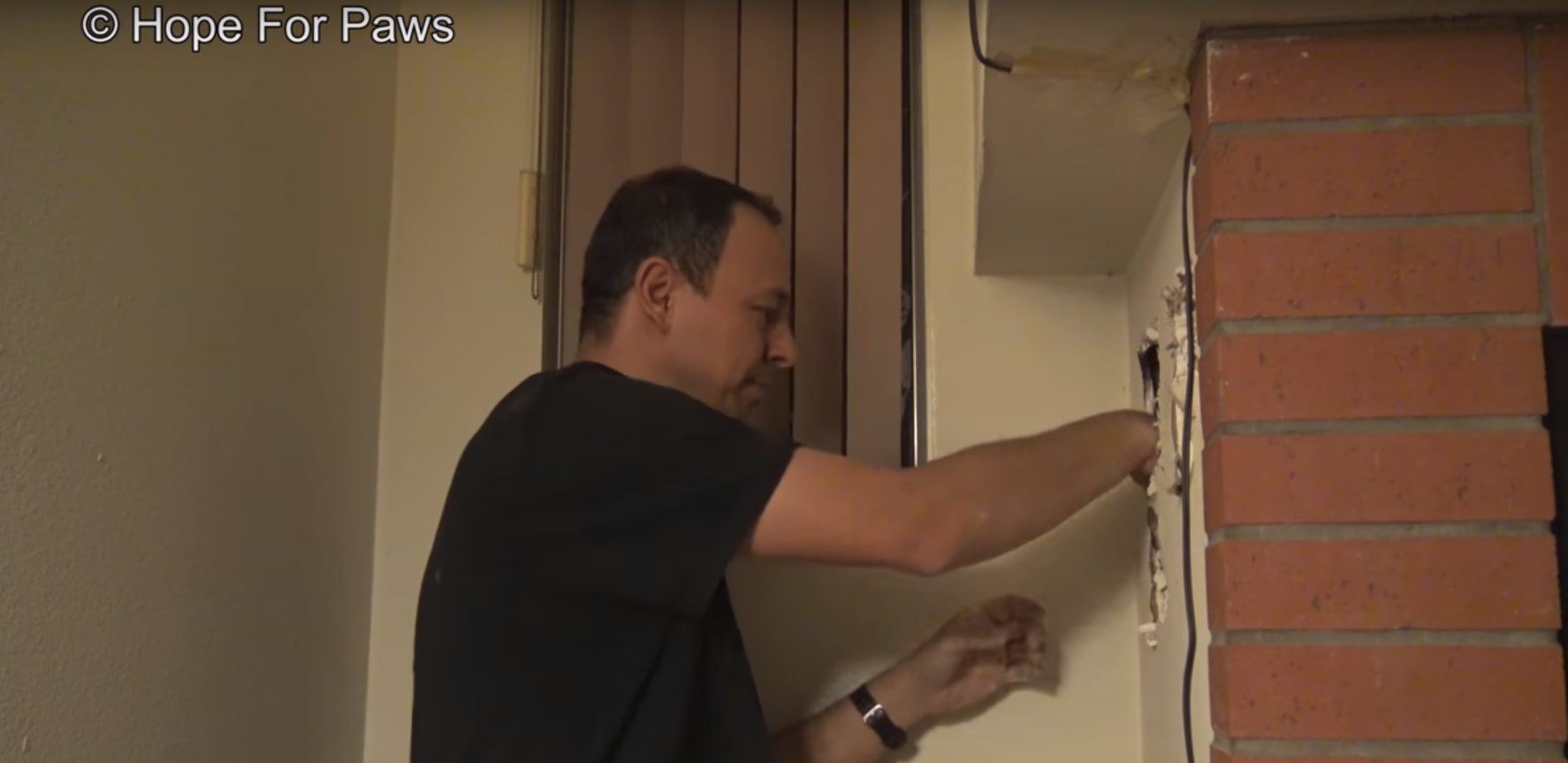 Rescuers Had to Break Walls to Save Kitten Who Was Trapped In Chimney For 3 Days