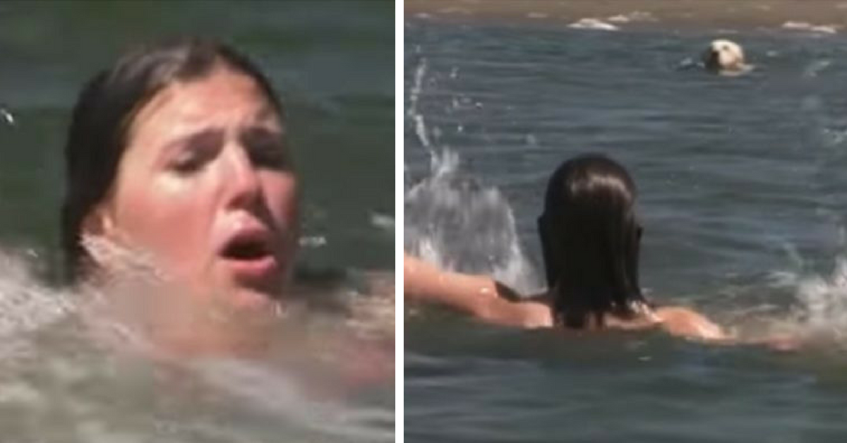 Blind Dog Miraculously Saves Drowning 15-Year-Old Girl From Certain Death