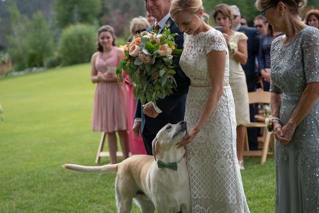 Adorable Photos of a Labrador Photobombing His Owner's Wedding Day Will Make Your Day