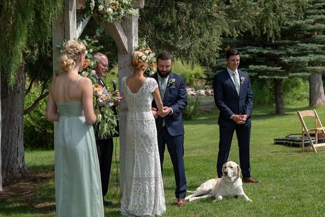 Adorable Photos of a Labrador Photobombing His Owner's Wedding Day Will Make Your Day