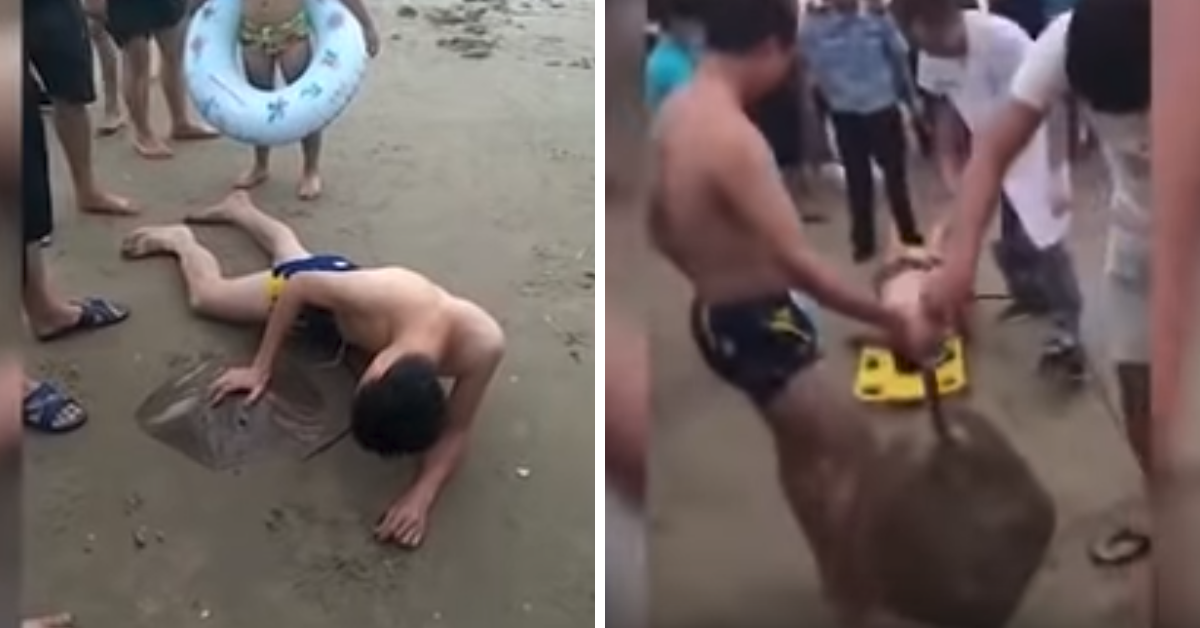 WATCH: Stingray Gets Stuck On Chinese Man's Penis During Vacation